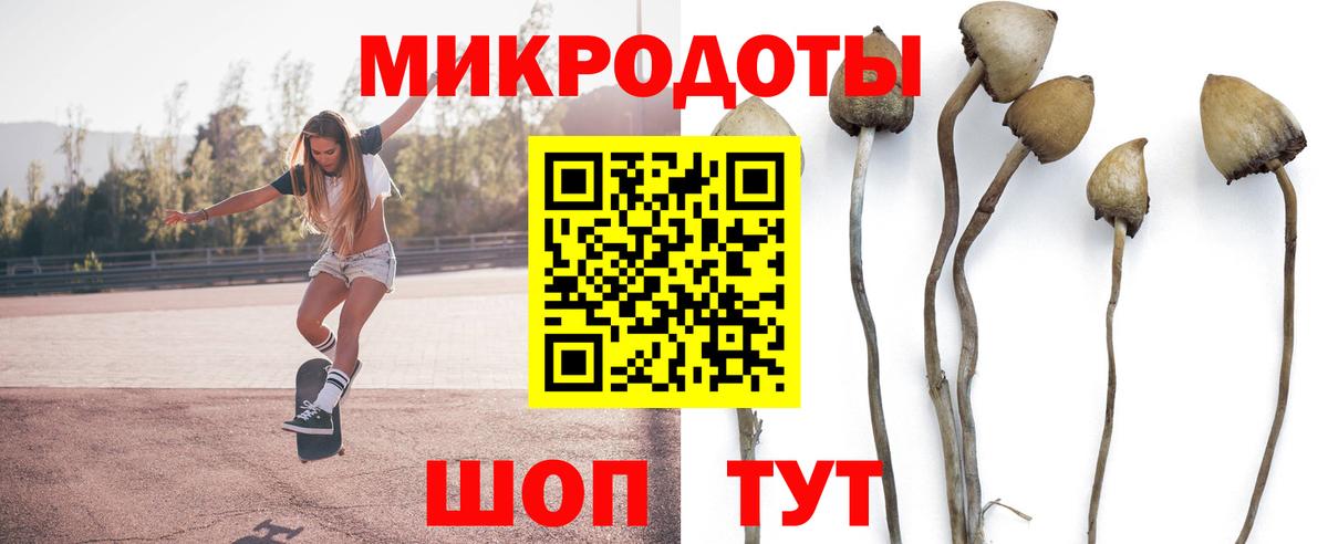 Галлюциногенные грибы Cubensis  Псилоцибиновые грибы GOLDEN TEACHER  Богданович  Вход с VPN 