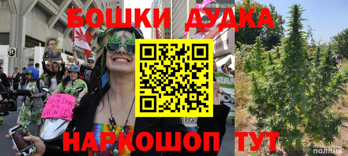 Бошки Шишки индика  Канабис тримм  Вход с VPN  Конопля план  Богданович 